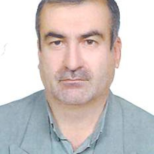 تصویر امیر محمد زاده