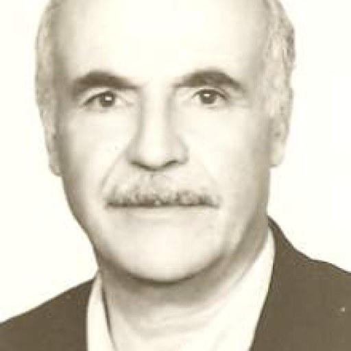 تصویر علی ارجمندی