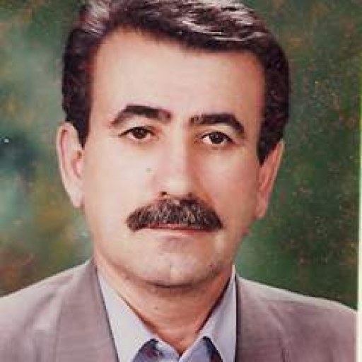 تصویر کریم پور قلی