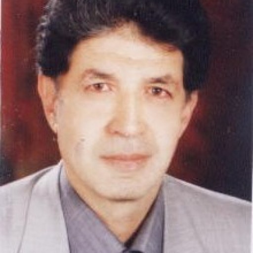 تصویر مهدی حیدری