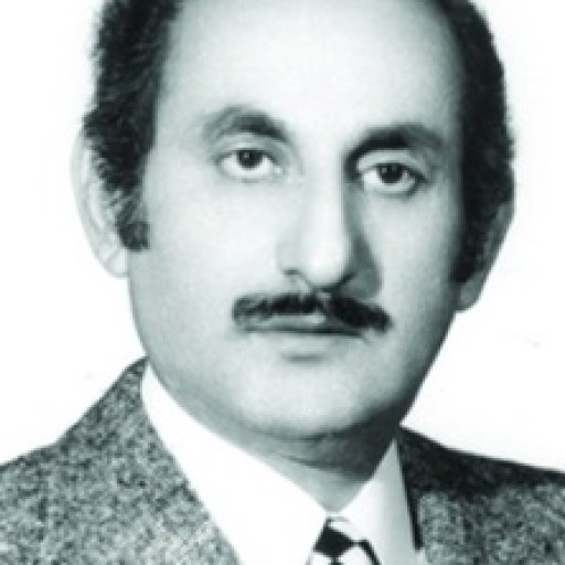 تصویر سید مرتضی میر پوریان