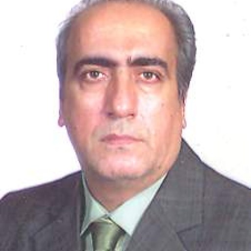 تصویر سیدشمس الدین مصطفوی دارائی