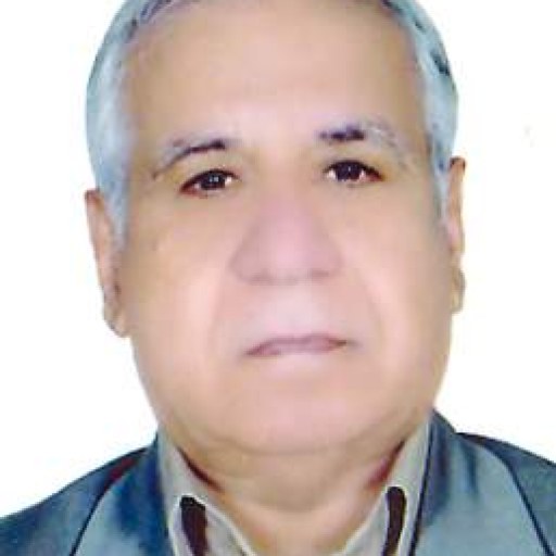 تصویر محمدایرج وزیری