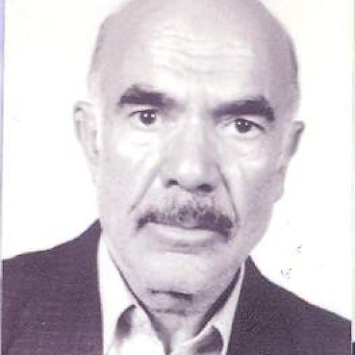تصویر حسن گودرزی