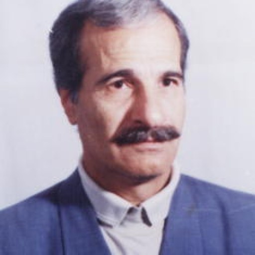 تصویر سید هادی روانفر