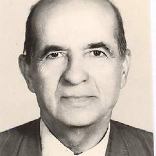 تصویر محمدعلی صفوی