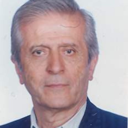 تصویر سید باقر حسینی شکرائی