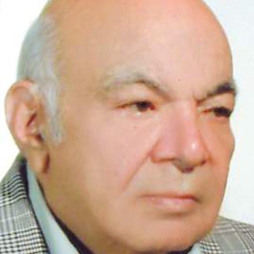 تصویر ضیاالدین ستوده