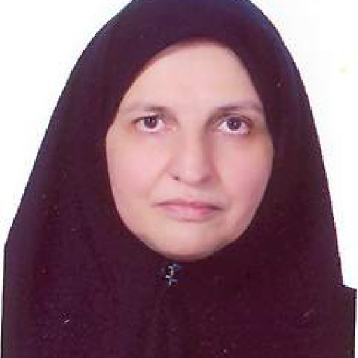 تصویر زریندخت اولیائی شیرازی