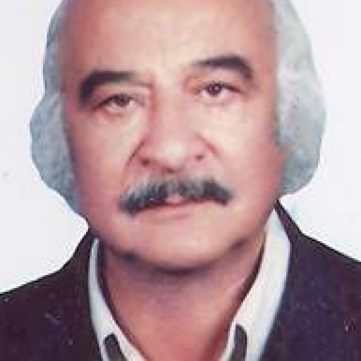 تصویر مهدی بهرامی