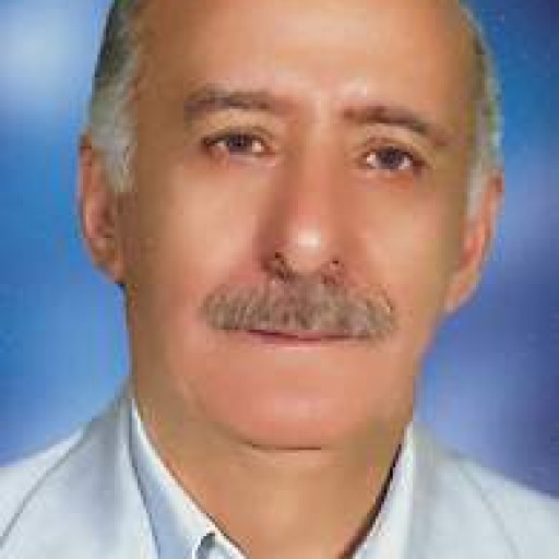 تصویر ایوب بهشادی