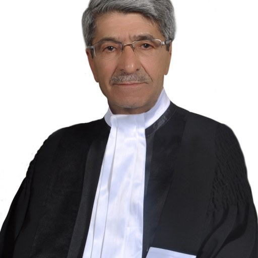 تصویر محمدرضا مددی