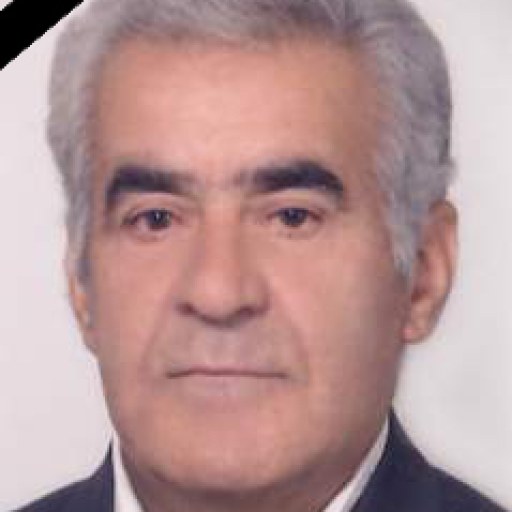 تصویر مرتضی صانعی