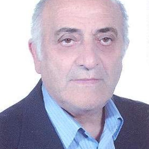 تصویر محمد انصاری