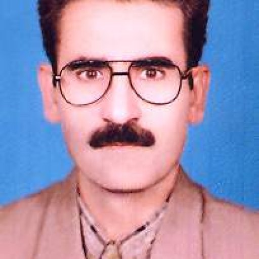 تصویر علی صوفی محمودی