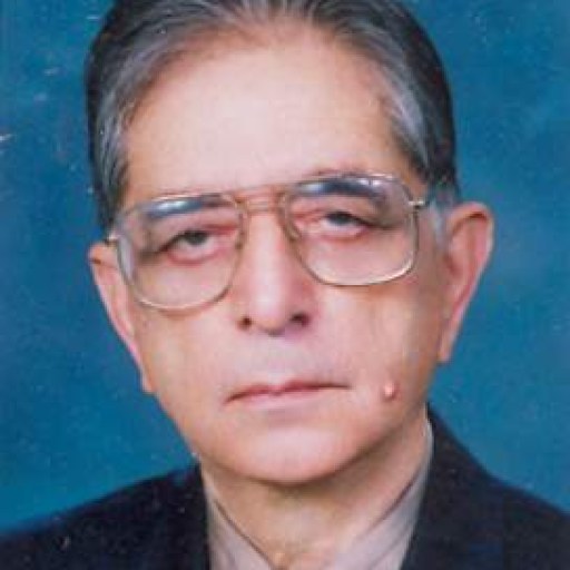 تصویر محمدصادق ضیائی