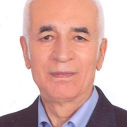 تصویر عبدالخالق محمدی