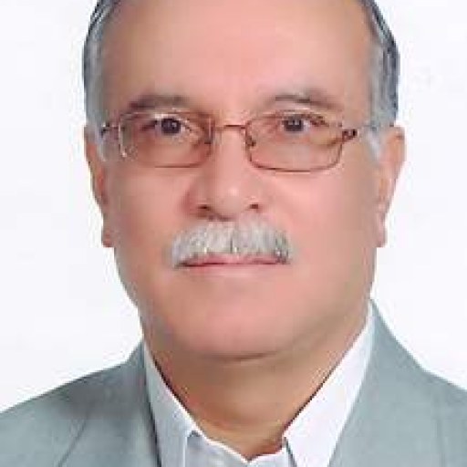 تصویر سید حسن فاطمی