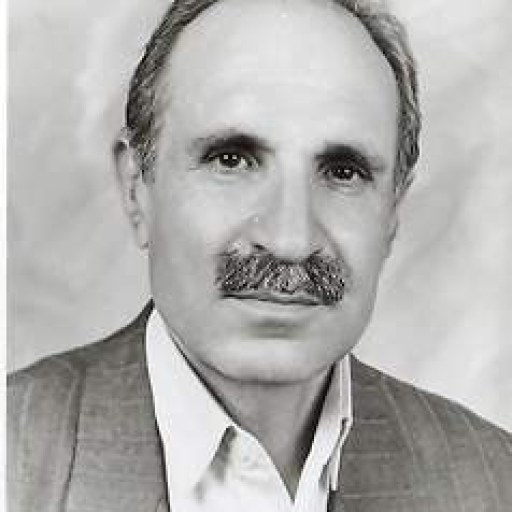 تصویر محمدحسین جباری زاده