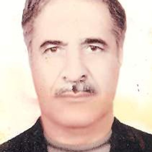 تصویر محمود قوامی