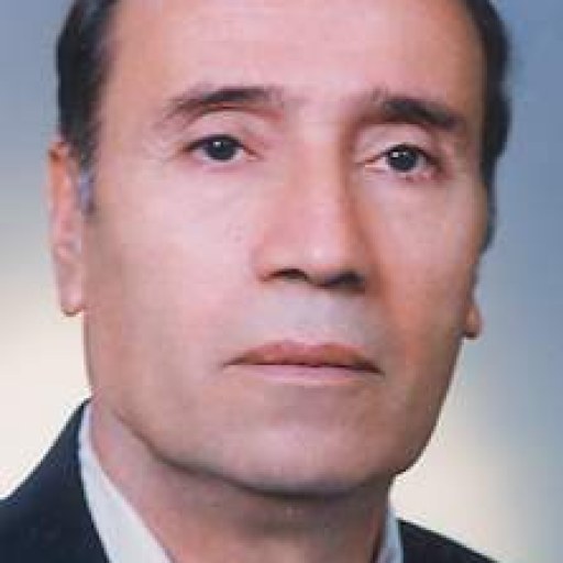 تصویر حسن حیدرزاده آذر
