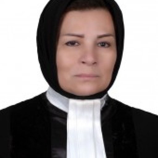 تصویر فیروزه فاطمی