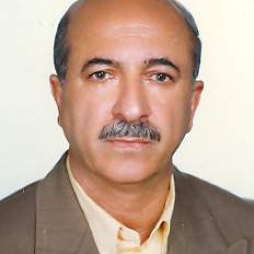 تصویر محمد رحیمی ها