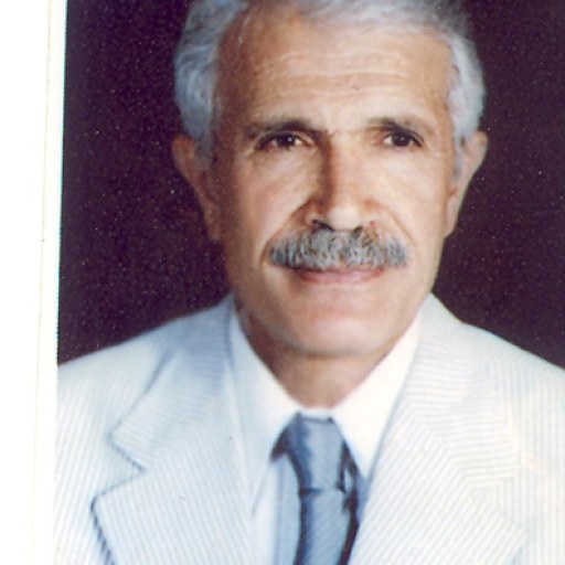 تصویر رضا صالح آبادی