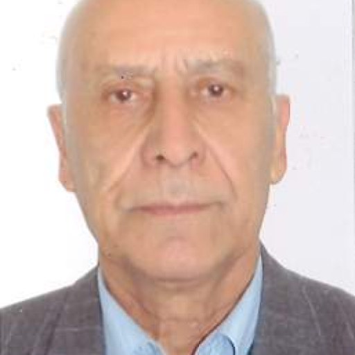 تصویر بهروز گیتی