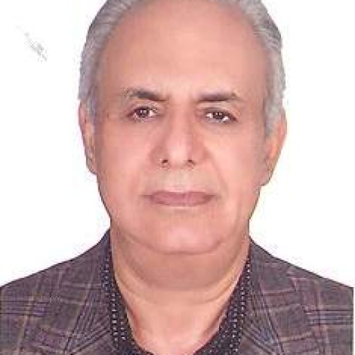 تصویر محمد پیرنیا