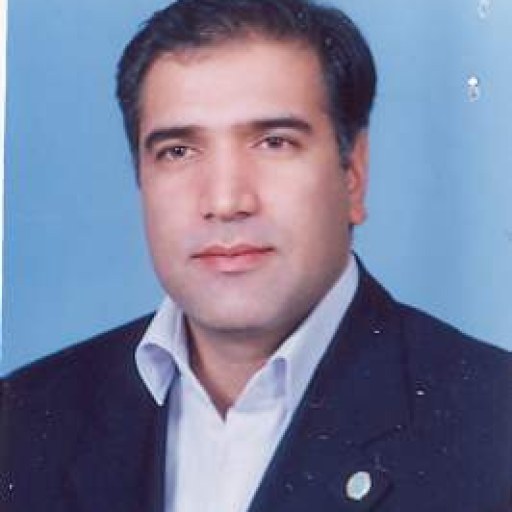 تصویر محمدرضا زنده دل برون