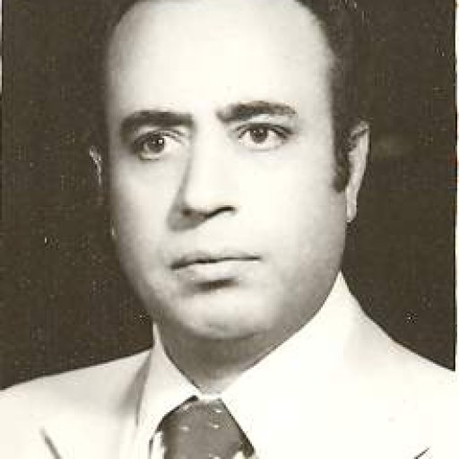 تصویر محمدعلی زند