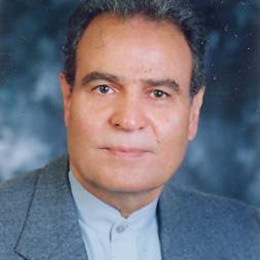 تصویر محمدحسین شاهسار