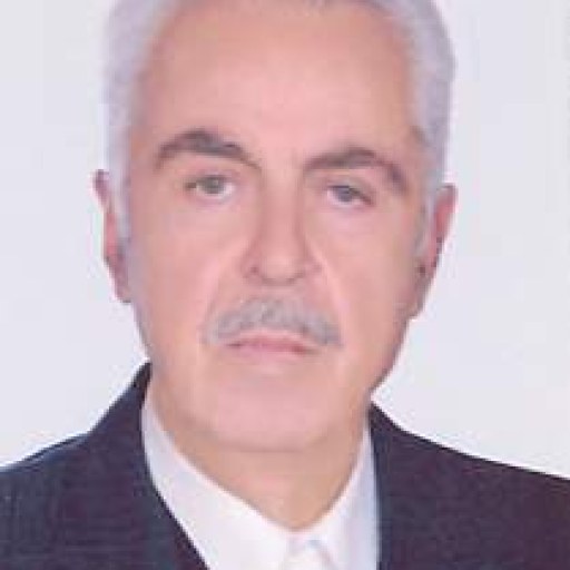 تصویر محمدعلی ولی زاده املشی