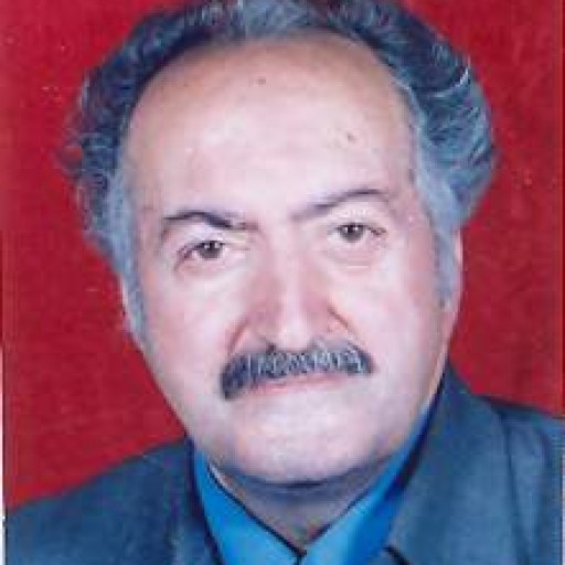 تصویر محمود پورصالح