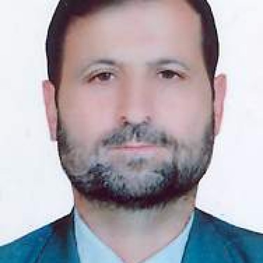 تصویر سید مهدی حسینی