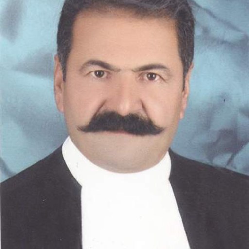 تصویر علی شاهسونی