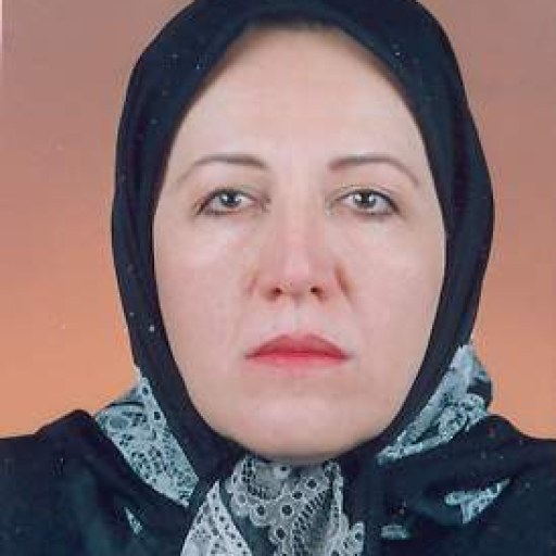 تصویر فروزنده شاملو