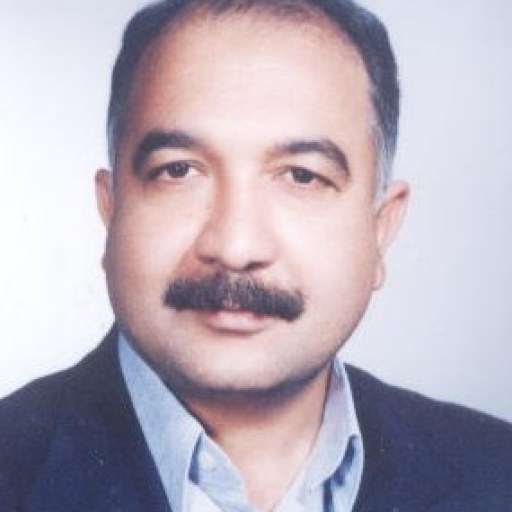 تصویر محمدرضا جمشیدی