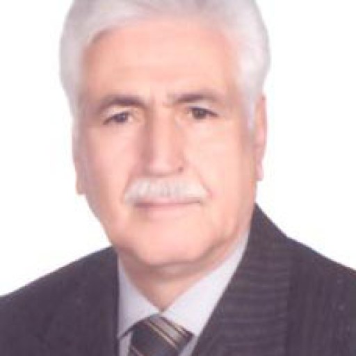 تصویر حسین عبدالهی