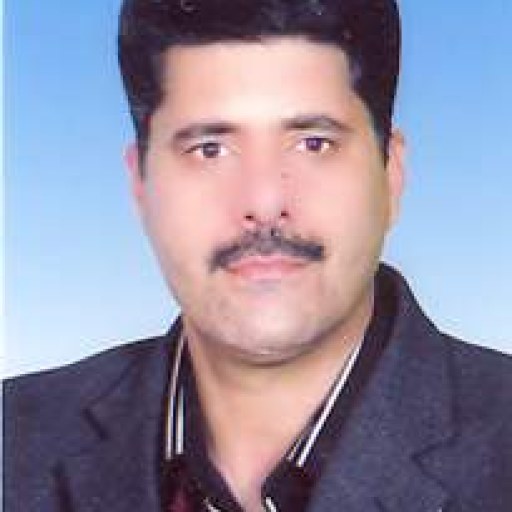 تصویر رضا سیدی ملکی