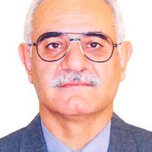 تصویر هادی حیدر زاده علی کمر