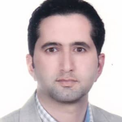 تصویر سید حسام الدین موسوی