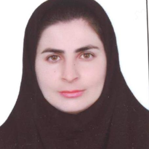 تصویر فاطمه حیدری سروستانی