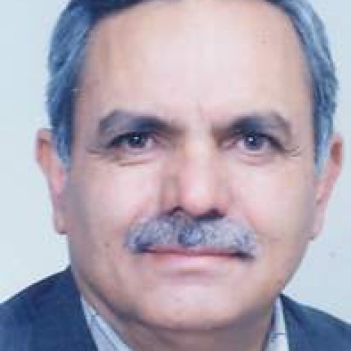 تصویر محمدجواد امیری