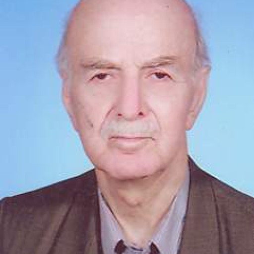 تصویر حمید غوثی مراغه