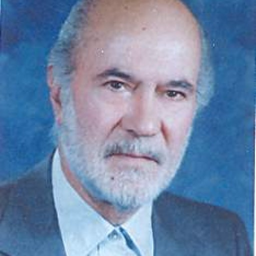 تصویر علی شفیعی مقدم