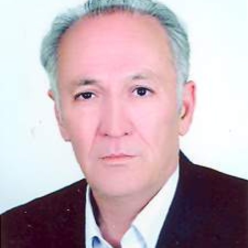 تصویر منصور کاظمیان باجگیران