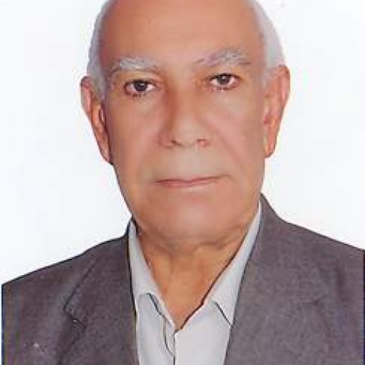 تصویر حسن بیاتی