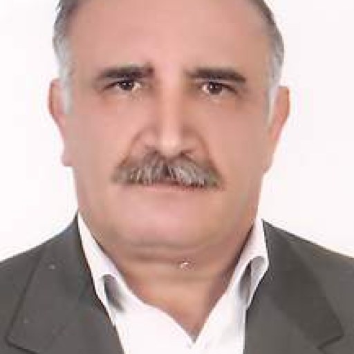 تصویر رضاقلی پارسا